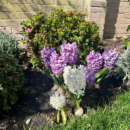 Wanderlust - Vlakbij - Omheinde Privétuin Appartamento *