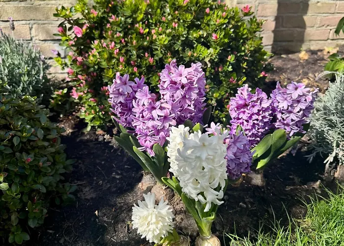 Wanderlust - Vlakbij - Omheinde Privetuin דירה *